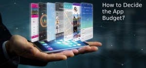 App Budget App Budget
